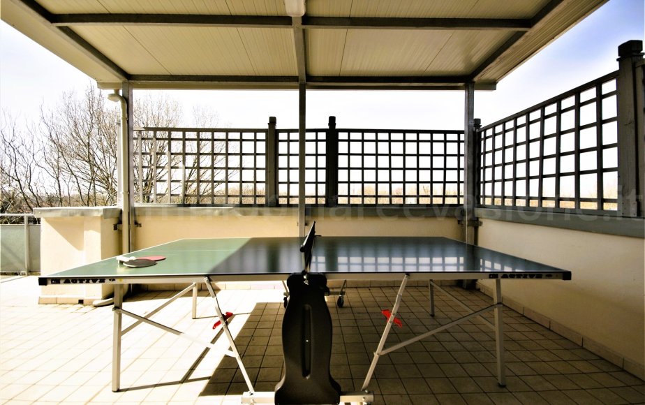 PING PONG