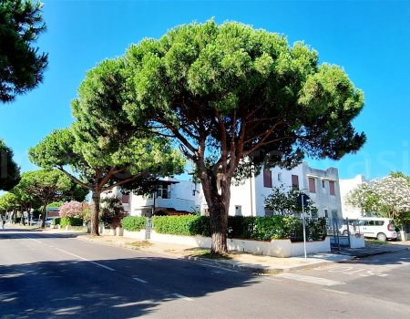 Al lido di pomposa affittasi moderno appartamento climatizzato con terrazzo vicino alla spiaggia